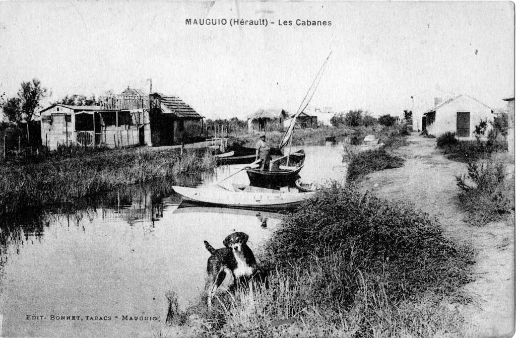 Cabanes du Salaison : à gauche, la cabane de Singet, le chien de Suquet, pêcheur professionnel de Mauguio, dans la barque M.Bourelly. À droite, la cabane de Ribayrolles. La carte postale daterait des années 1930-1932, à l'époque du tabac Bonnet. (source : Arlette Orlandini) - Document conservé aux Archives départementales de l’Hérault (France), sous la cote 1770 W 166 Lot1 1993