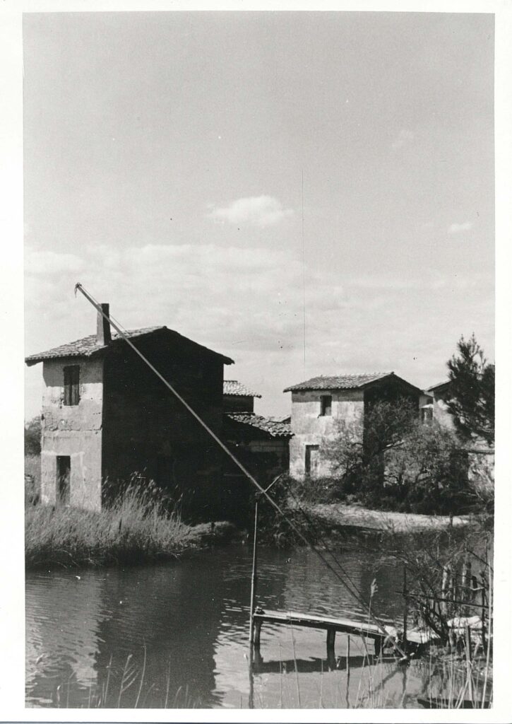 Cabane de Lansargues (au 1er plan celle de M. Delon, derrière celle des "Joyeux" et au fond celle de M. Bruguière) - Mention de droits : Document conservé aux Archives départementales de l’Hérault (France), sous la cote 1780W109 Lot1 1996