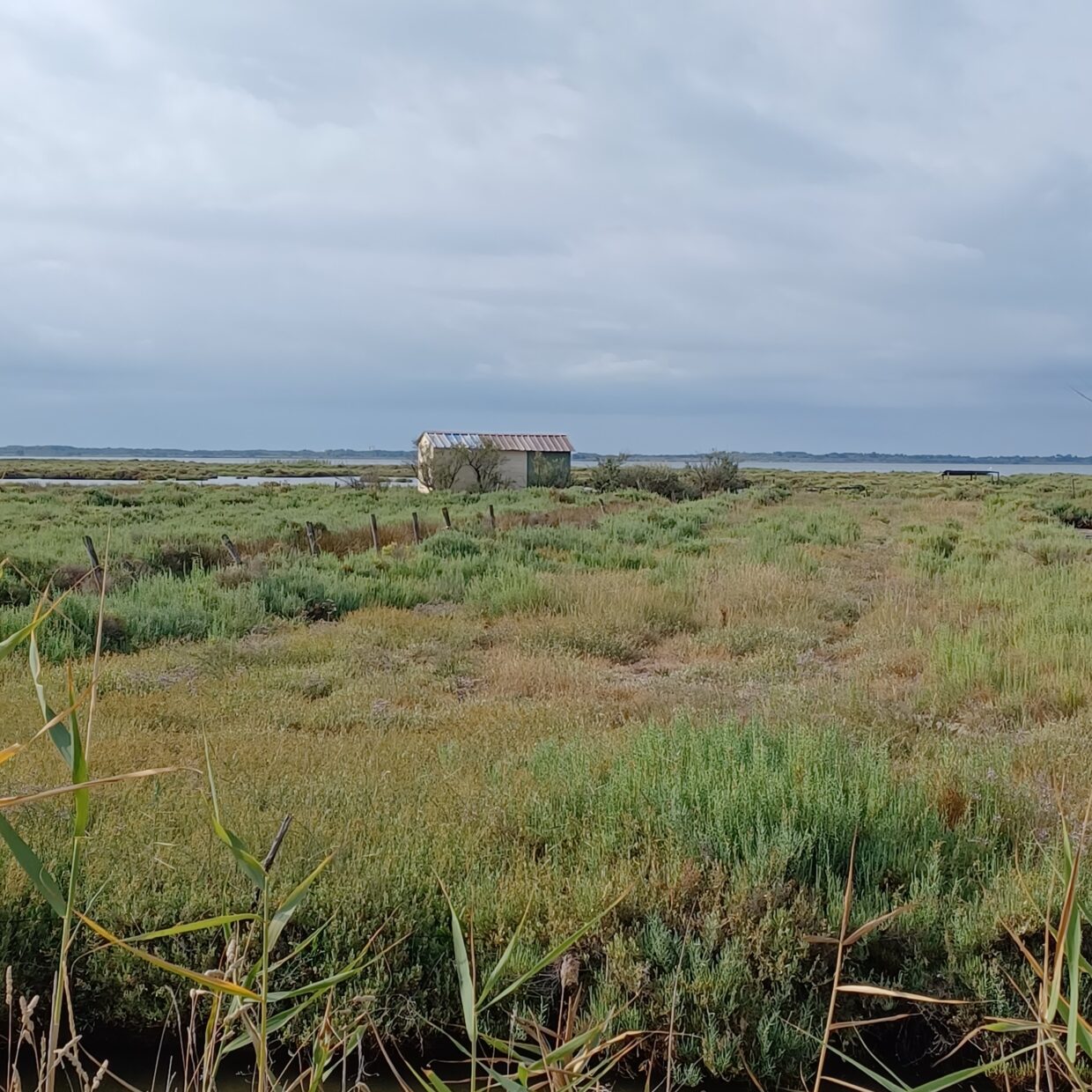 cabane de Sérode