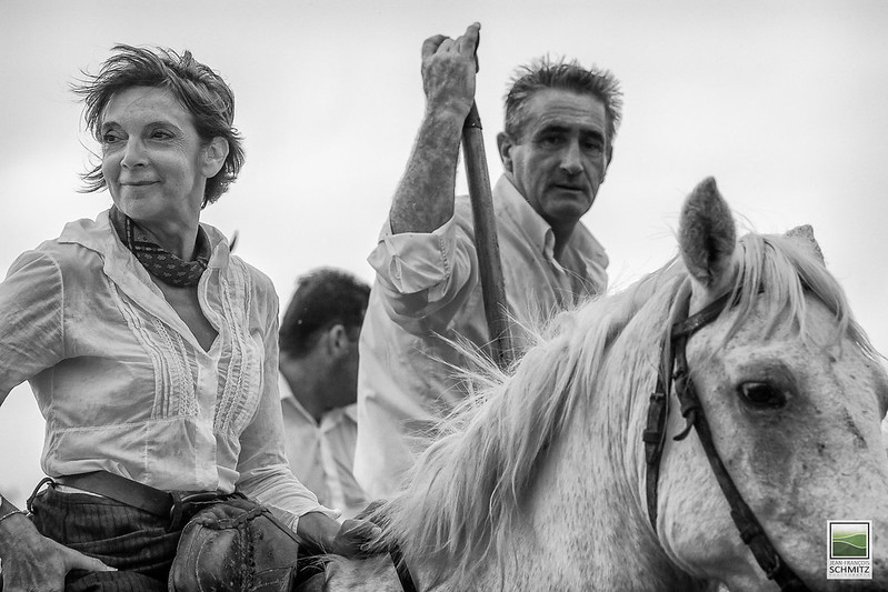 Manade au Mas des Pauvres (Mauguio) - Flickr CC Jean-François Schmitz