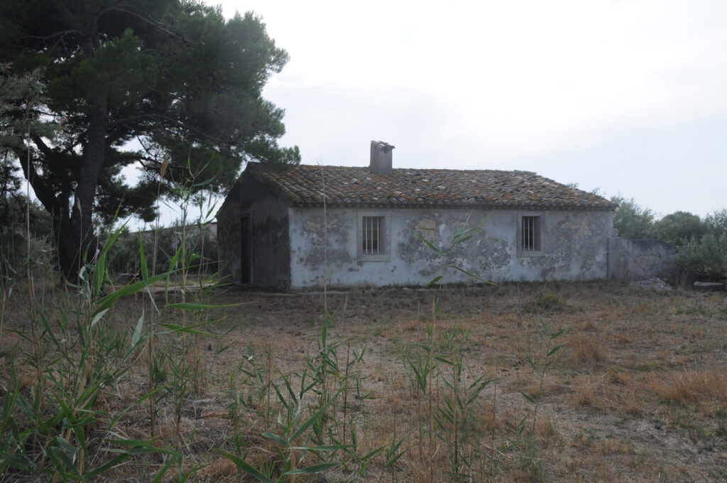 Cabane de Doscares (cabane de Mauguio) - C Françoise Poudevigne